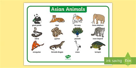 Asian Animals Word Mat (teacher made) - Twinkl