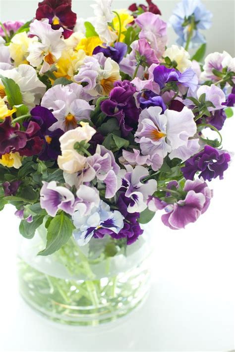 Pansies | Beautiful flower arrangements, Flower arrangements, Beautiful ...