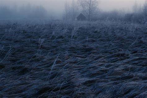 Frost on Grass at Dawn · Free Stock Photo