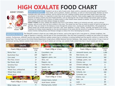 Low Oxalate Foods, Low Oxalate Diet, Kideny Stone Diet, List of Medium to High Oxalate Foods ...