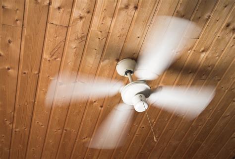 Why You Should Change the Direction of Ceiling Fans in Winter - HomeSelfe