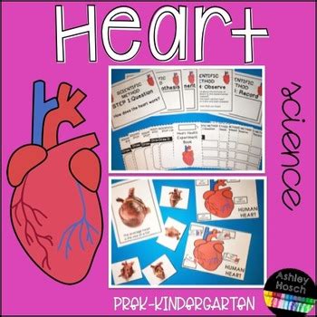 Heart Pumping Experiment and Heart Healthy Activities- Preschool- Kindergarten