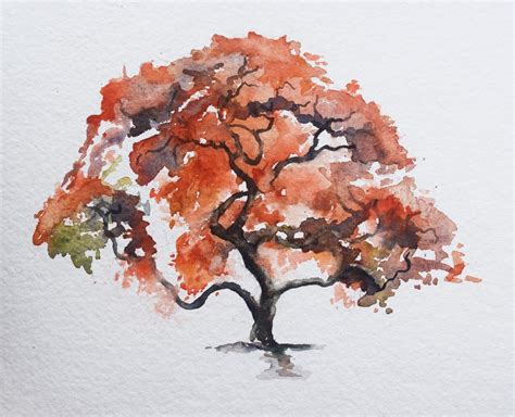 Painting A Japanese Maple In Watercolor | Japanese watercolor, Tree watercolor painting ...