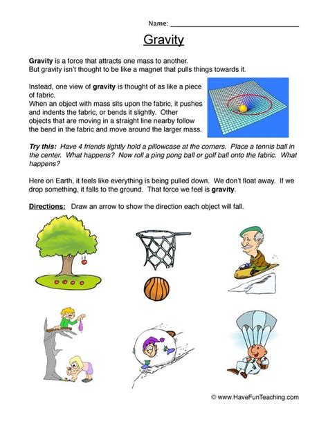 Falling Gravity Worksheet - Have Fun Teaching | Have fun teaching, Science worksheets, Gravity ...