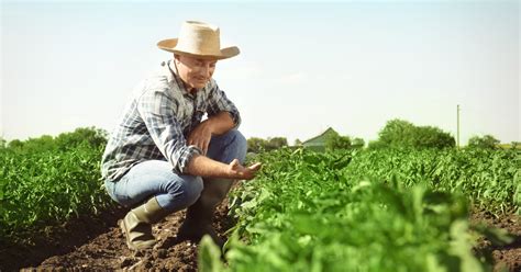 6 Essential Farming Supplies Every Farmer Should Have - AGRICULTURE GURUJI