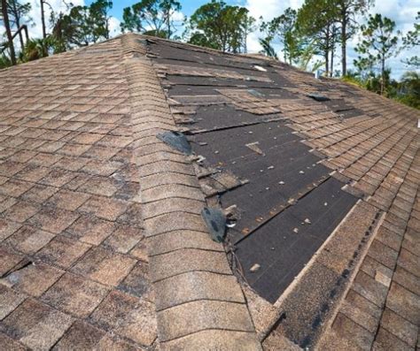 The Pros and Cons of Shingles vs Metal Roofs - Aapex Construction and ...