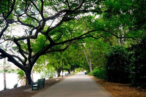 Brisbane City Botanic Gardens - Brisbane Kids