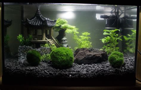 My Japan-themed Marimo tank. :-) | Fish tank, Fish tank terrarium, Cool ...