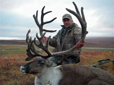 Caribou Hunting Photo Gallery | Arctic North Guides