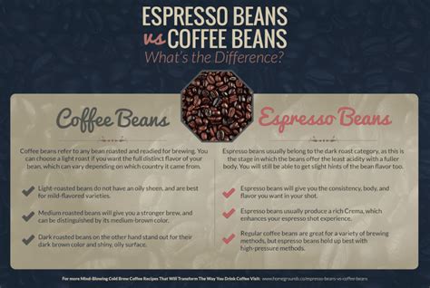 Espresso Beans vs Coffee Beans: What’s the Difference?