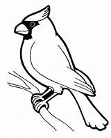 Printable Birds coloring page To Print And color  Coloring pages sketch template