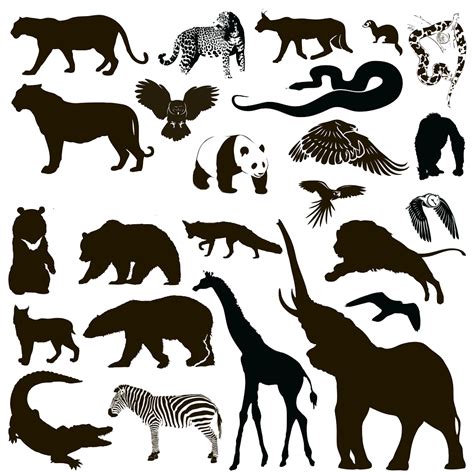 Silhouette Animal Wildlife - Animal Silhouettes png download - 1000* ...