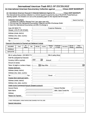 Bill Of Exchange Format In Word - Fill Online, Printable, Fillable, Blank | pdfFiller