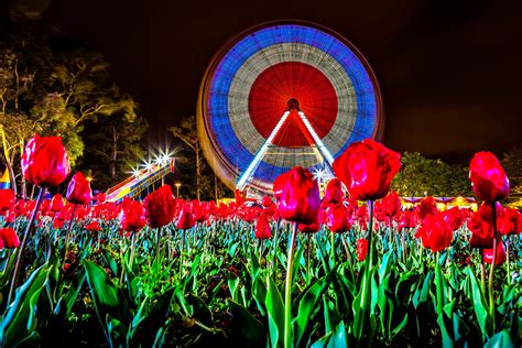 NightFest tickets go on sale as Floriade turns 35 | Riotact