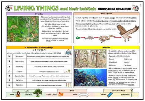 Year 2 Living Things and their Habitats Knowledge Organiser! | Teaching Resources