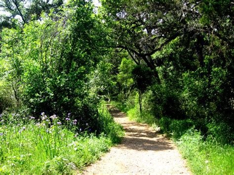 Mayfield Park- Peacocks and Hiking Trails in Austin City Limits : Solo ...