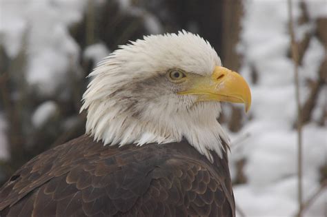 Minnesota Zoo 2011