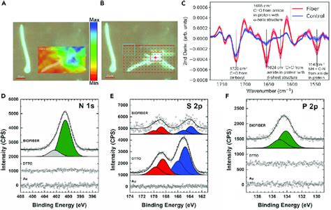 Synchrotron Infrared Microspectroscopy and X-ray Photoelectron ...