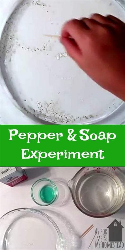 7 year old demonstrates the simple Pepper and Soap Experiment ...