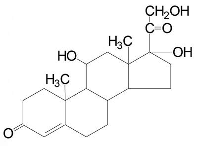 Steroid Hormones and Their Receptors - The Medical Biochemistry Page