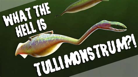 What the Hell is Tullimonstrum?! - YouTube