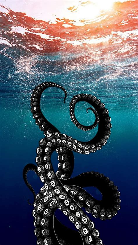 Discover more than 56 octopus iphone wallpaper - in.cdgdbentre