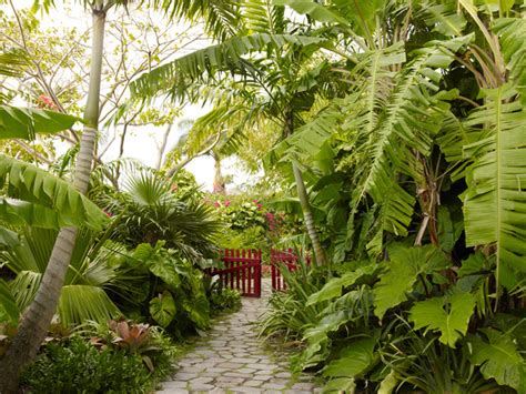 How to Bring Your Subtropical Garden to Life | Houzz AU