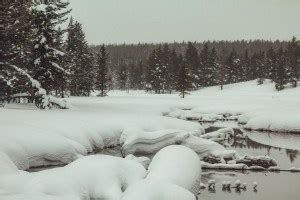 Snowshoeing At Flagg Ranch In Yellowstone In Winter Red Around the World