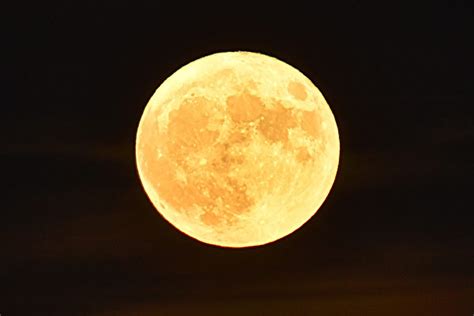 超級月亮伴月全食 週三澳夜空將現罕見奇觀 | 澳洲 | 賞月 | 大紀元