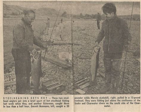 Grandpa Everett steelhead in the Lewiston Morning Tribune | Steelhead ...