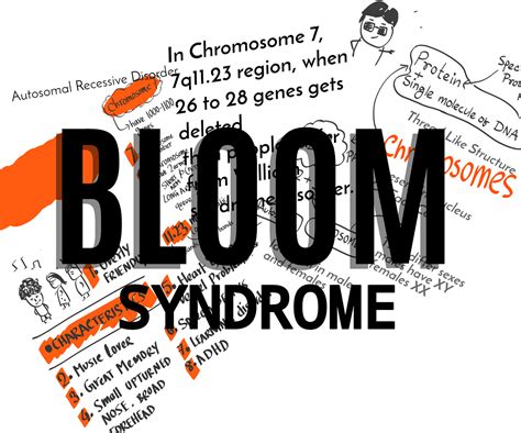 BLOOM Syndrome | by Talking Bit To Stars | Medium | Medium