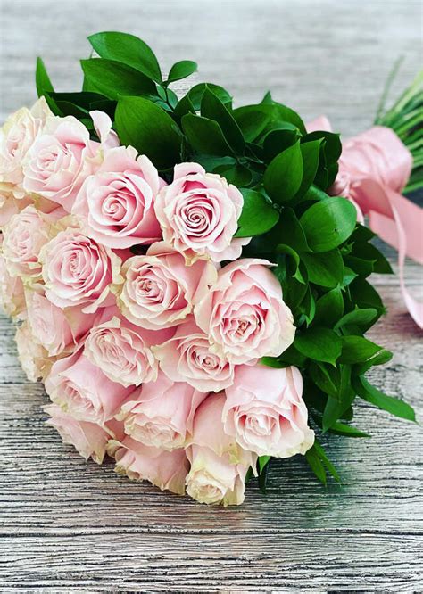 2 Dozen Long Stem Pink Rose Bouquet | The Flower Alley