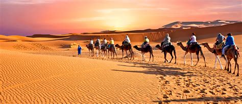 All About the Arabian Desert: Geography, Climate & More - MyBayut