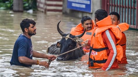 Delhi battles flood as Yamuna above 208.6m. How to check the river's ...