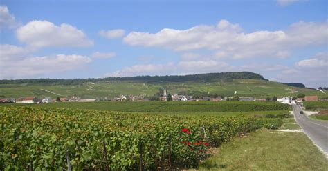 Champagne area guide and tourist attractions - Champagne-Ardenne, France