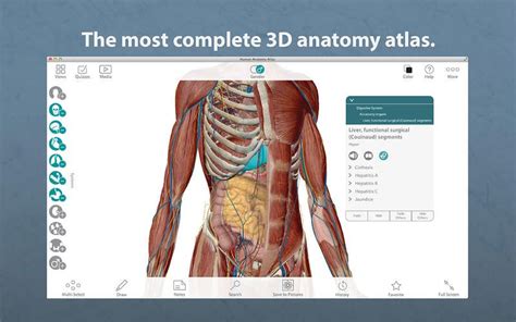 Visible Body Human Anatomy Atlas 7.4 - Computer Downtown Vancouver Tech Support