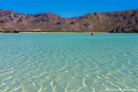 10 Amazing Things to Do in La Paz Mexico | Travel the World