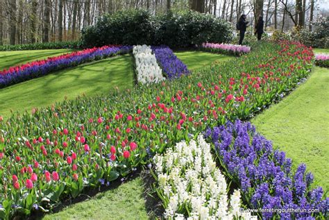 Tips for Visiting Keukenhof Gardens from Amsterdam - Ferreting Out the Fun