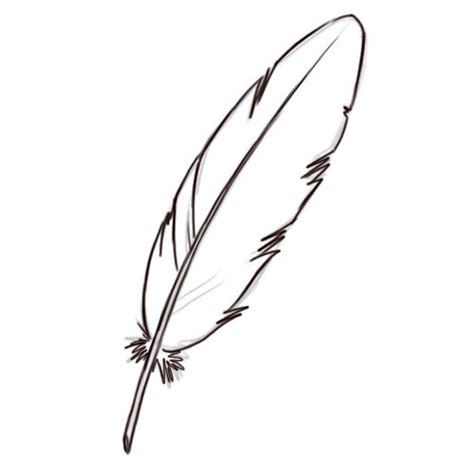 How to Draw a Feather: 8 Steps (with Pictures) - wikiHow | Feather ...