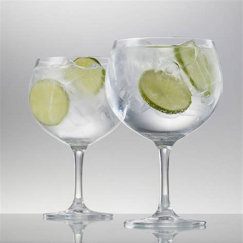 Gin & Tonic Glasses (offer set of 2) by Schott Zwiesel