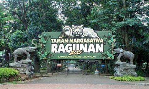 Sejarah Ragunan, Tanah Bangsawan yang Menjadi Kebun Binatang | Kebun binatang, Pariwisata ...