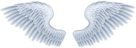 Angel Wings, Wings PNG Images Transparent Free Download - Free Transparent PNG Logos