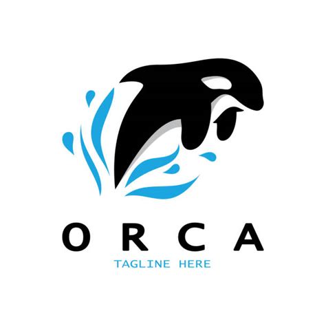 4.400+ Orka Stockillustraties, royalty-free vector illustraties en ...