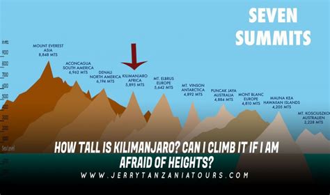 ¿Qué altura tiene el Kilimanjaro? ¿Puedo escalarlo si tengo miedo a las ...