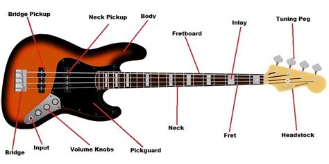 Bass Guitar Parts Diagram | Learn to play guitar, Bass guitar parts ...