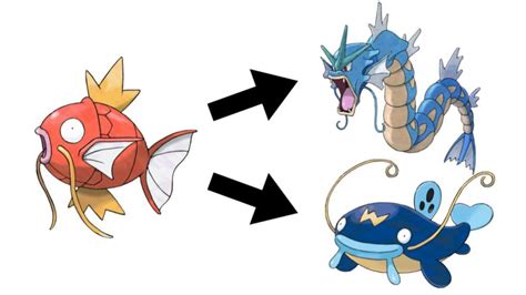 Gyarados Evolution