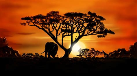 Africa HD Wallpapers - Top Free Africa HD Backgrounds - WallpaperAccess