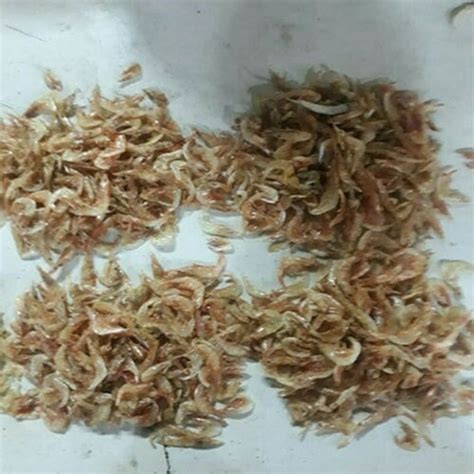 Dry Jhinga Fish at Rs 150/kilogram | Dry Fish in Mumbai | ID: 18619366212