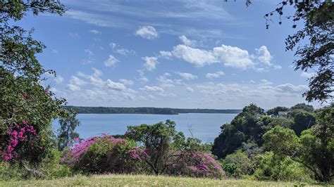 Kilifi Travel Guide | The Best Beaches, Restaurants, And More In 2021