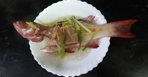 Resep Steam ikan kerapu hongkong oleh Frans Crys Save - Cookpad